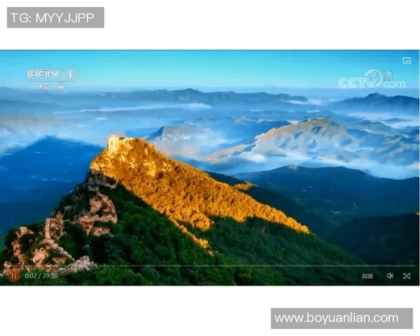 中国体育明星全景展示与成就回顾，探索他们的辉煌历程与影响力